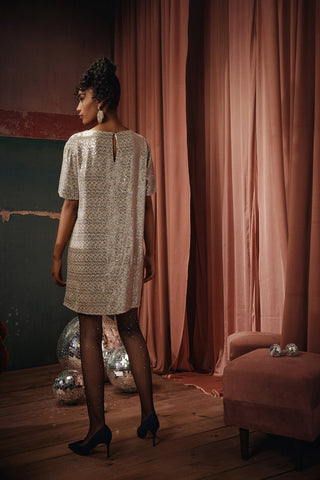 Eva Silver Dress