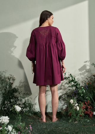 Roxane Embroidered Dress